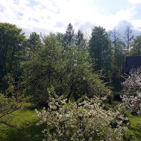 Apartament Bolek I Apartament Lolek ザコパネ エクステリア 写真