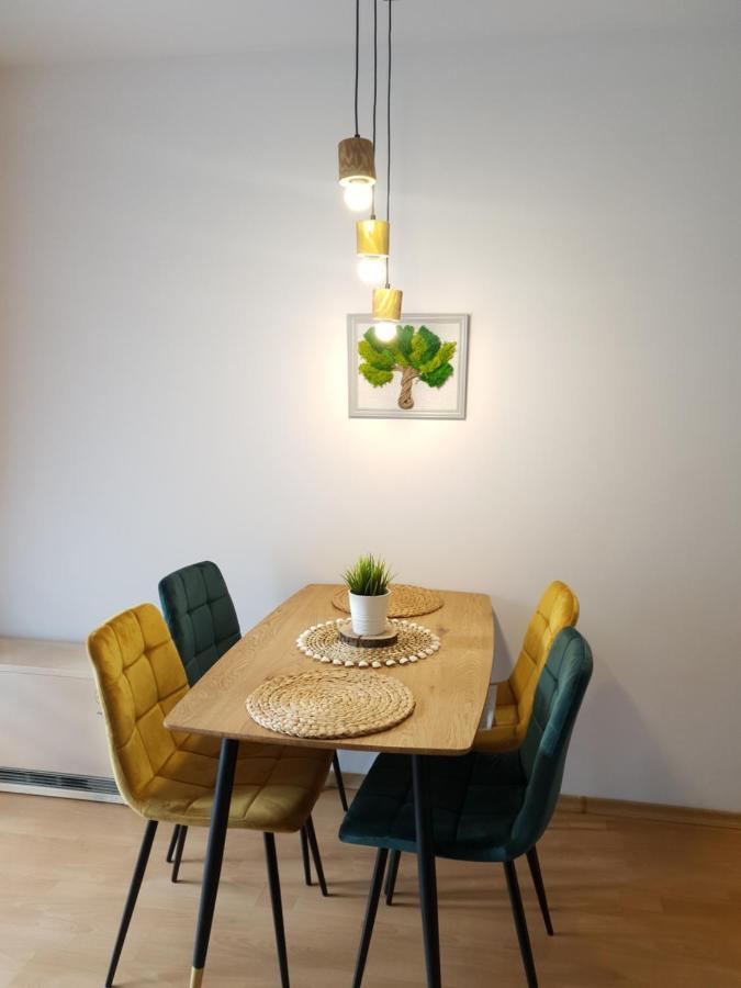 Apartament Bolek I Apartament Lolek ザコパネ エクステリア 写真