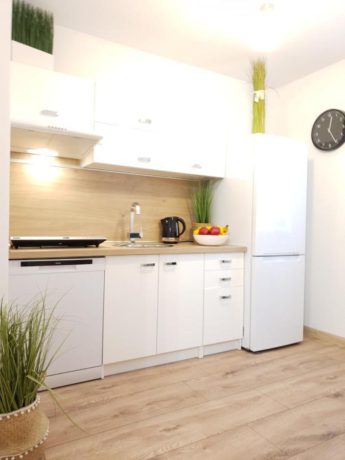 Apartament Bolek I Apartament Lolek ザコパネ エクステリア 写真