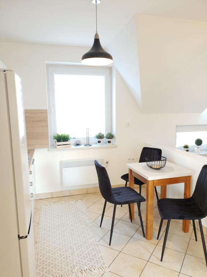 Apartament Bolek I Apartament Lolek ザコパネ エクステリア 写真