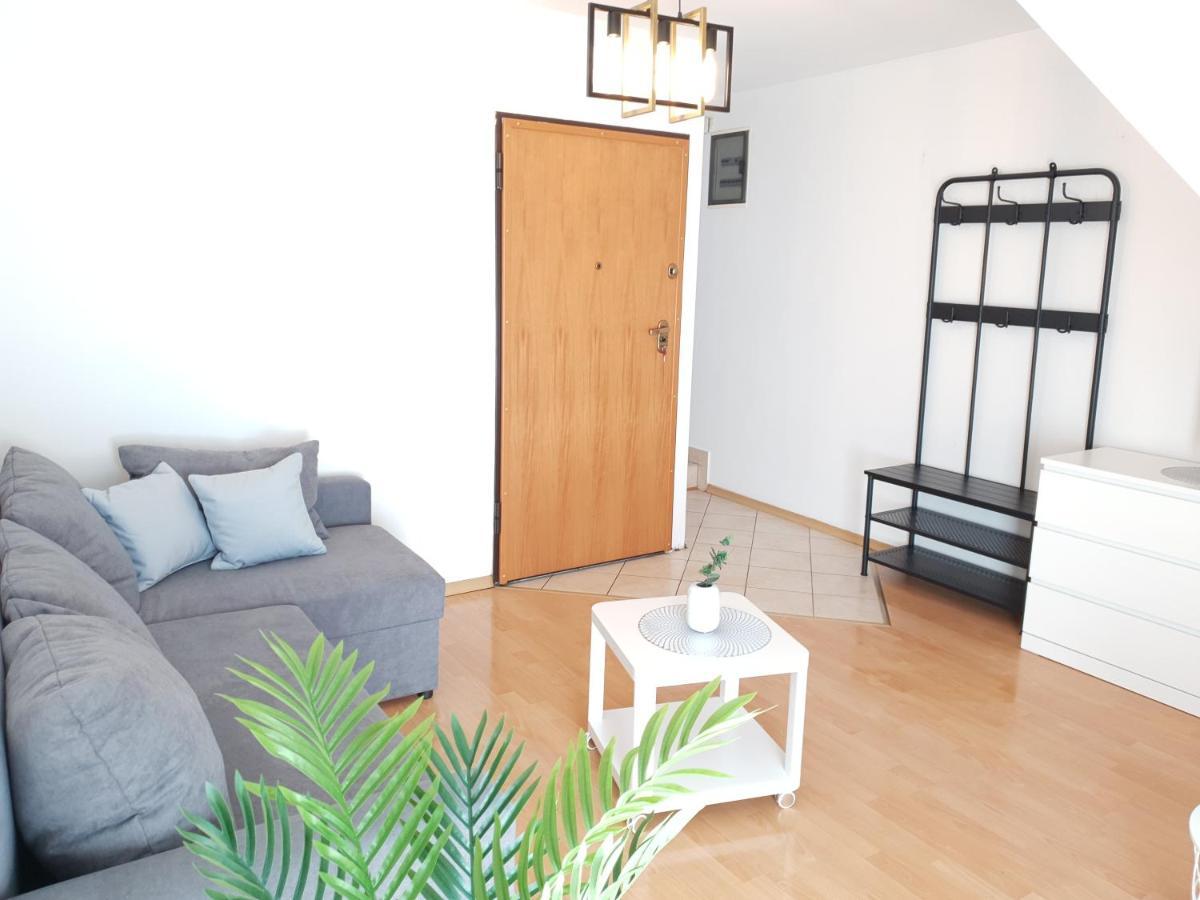 Apartament Bolek I Apartament Lolek ザコパネ エクステリア 写真