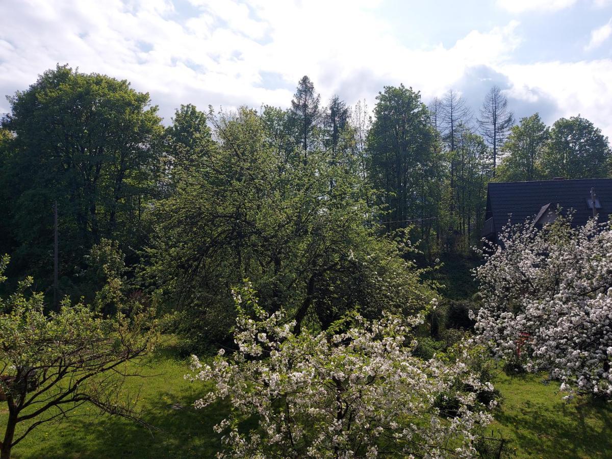 Apartament Bolek I Apartament Lolek ザコパネ エクステリア 写真