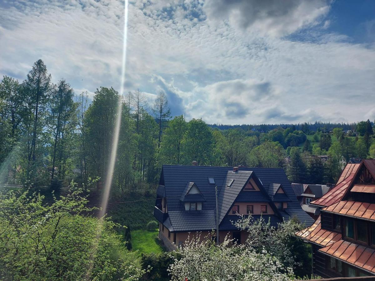 Apartament Bolek I Apartament Lolek ザコパネ エクステリア 写真