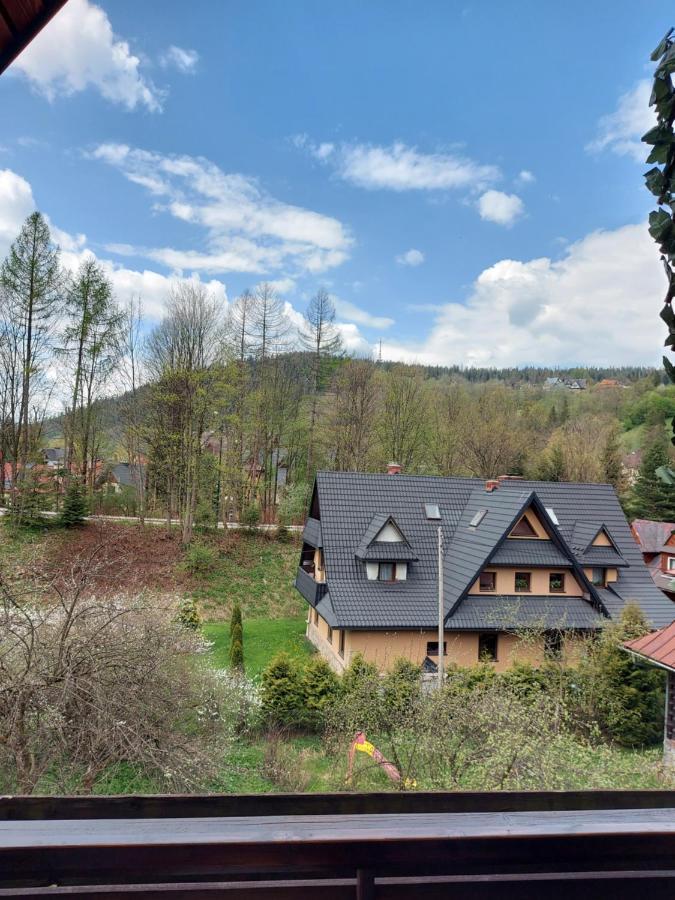 Apartament Bolek I Apartament Lolek ザコパネ エクステリア 写真